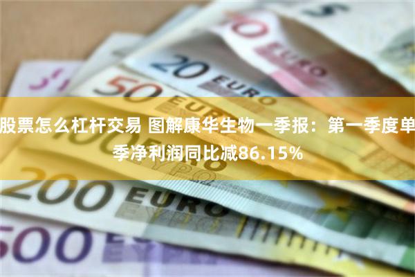 股票怎么杠杆交易 图解康华生物一季报：第一季度单季净利润同比减86.15%