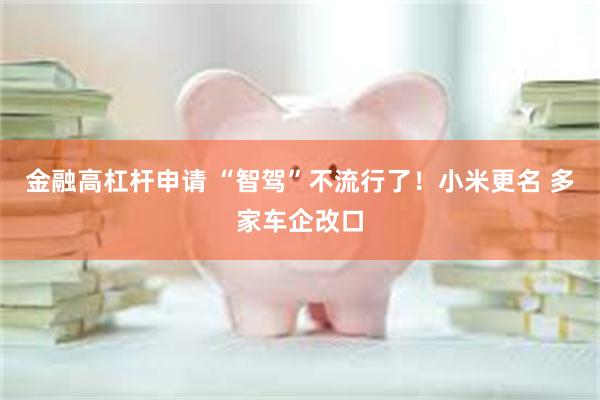 金融高杠杆申请 “智驾”不流行了！小米更名 多家车企改口