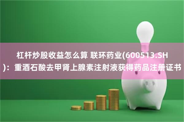 杠杆炒股收益怎么算 联环药业(600513.SH)：重酒石酸去甲肾上腺素注射液获得药品注册证书